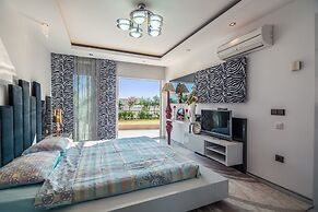 Elite Admiral Premium B85