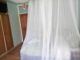 Hotel Eel