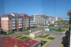 Apartment on Voskresenskaya apt. 510