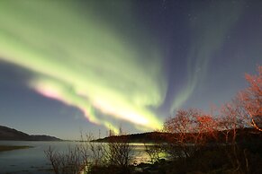 Senja Arctic Lodge AS