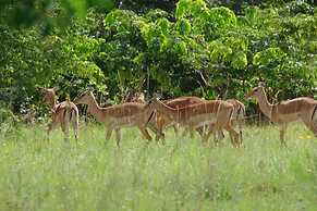 Kwale Golden Guest House