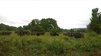 Kwale Golden Guest House