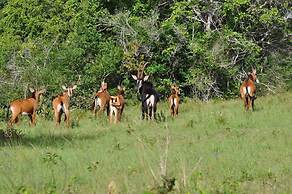 Kwale Golden Guest House