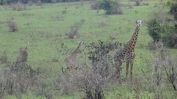 Kwale Golden Guest House