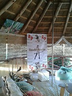 Rancho Paradise - Adults  Only