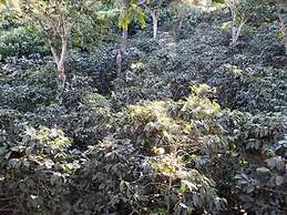 Villas Castillo de Ensueño