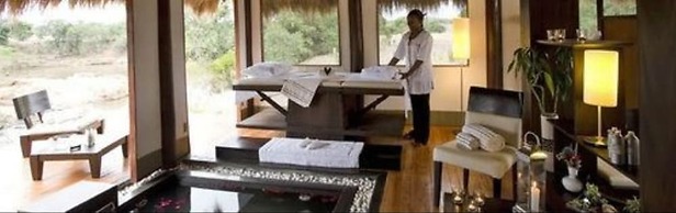 Ngerende in the Wild Lakeview