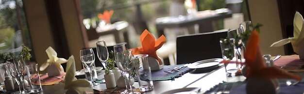 Ngerende in the Wild Lakeview