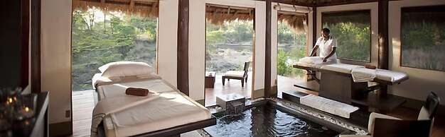 Ngerende in the Wild Lakeview