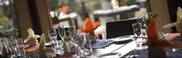 Ngerende in the Wild Lakeview