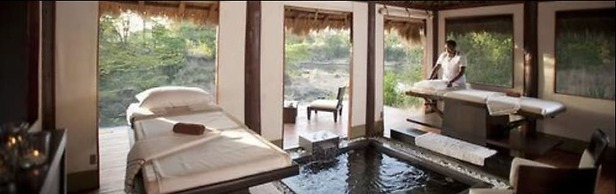 Ngerende in the Wild Lakeview