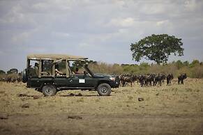 Ngerende in the Wild Riverview