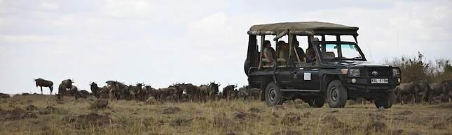 Ngerende Island Lodge - Adults Only