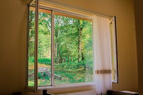 Wald Hotel Lagodekhi