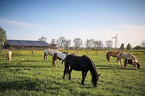 Traberhof - Landurlaub in seiner schönsten Form - freies Reiten inbegr