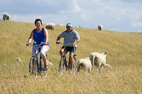 Traberhof - Landurlaub in seiner schönsten Form - freies Reiten inbegr