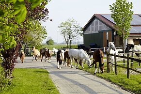 Traberhof - Landurlaub in seiner schönsten Form - freies Reiten inbegr