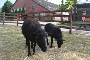 Traberhof - Landurlaub in seiner schönsten Form - freies Reiten inbegr
