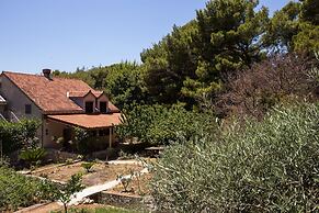 Apartment & Rooms Papa