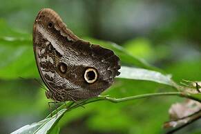 Tambopata Ecolodge