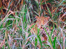 Tambopata Ecolodge