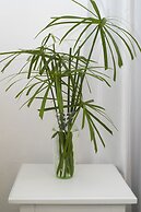 Pulse Rooms at Trafalgar