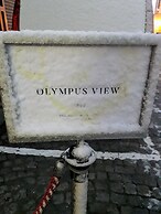 OLYMPUS VIEW Rooms Sauna & Spa