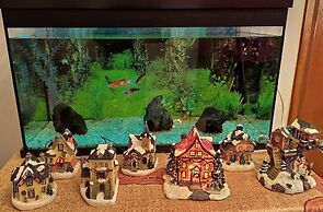 OLYMPUS VIEW Rooms Sauna & Spa