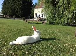 B&B Het Schaliënhof