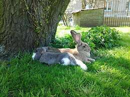 B&B Het Schaliënhof