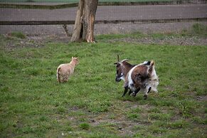 B&B Het Schaliënhof