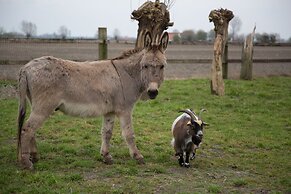 B&B Het Schaliënhof