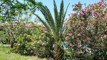 Paradise Holiday Bungalows