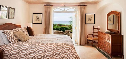 Old Trees 3 - Condo Halcyon