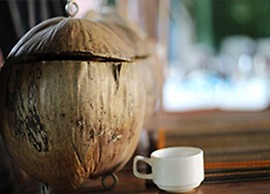 The Coconut House Villa