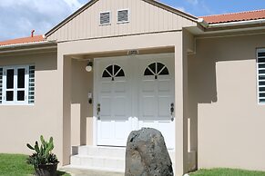 Apartments Pepe's View - B -