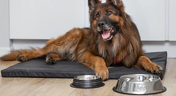 MARGI Nell Apartament