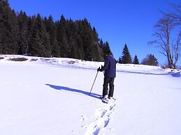 Ferienhaus Mitterdorf
