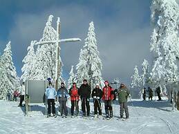 Ferienhaus Mitterdorf