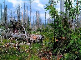 Ferienhaus Mitterdorf