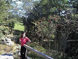 Ferienhaus Mitterdorf