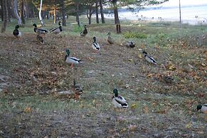 Villa Maria Wohnung 5