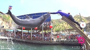 Sea View Apartment with Swimming Pool & Hot Tubs