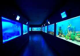 Sea View Apartment with Swimming Pool & Hot Tubs