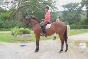 Caymanas Adrian's Vacation House