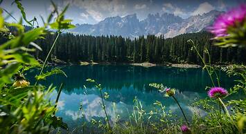 Moseralm Dolomiti Hideaway