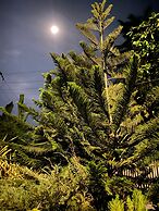 Mahi Mahi Dive Resort