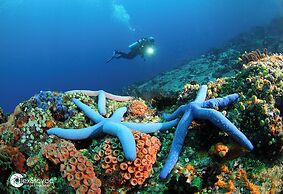 Mahi Mahi Dive Resort