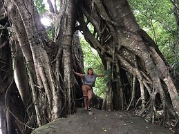 Mahi Mahi Dive Resort