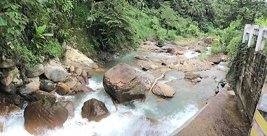 Mahi Mahi Dive Resort